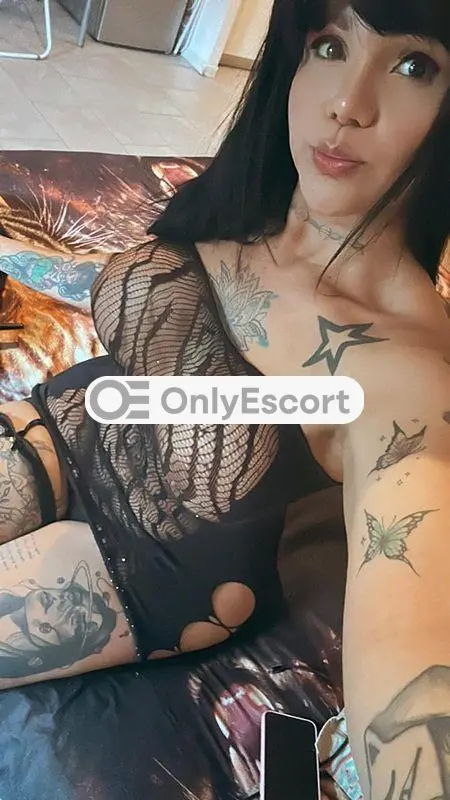 3533674611 immagine 0