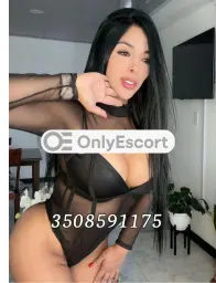 3508591175 immagine 2