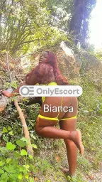 3509931675 immagine 2