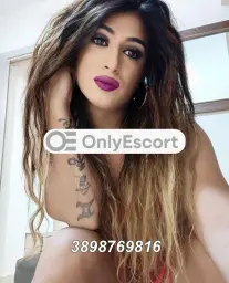 3898769816
