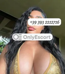 3932212716
