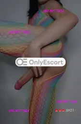 3508077824 immagine 2