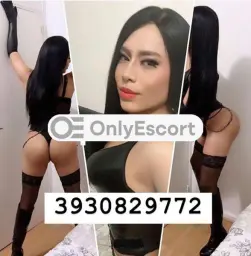 3930829772 immagine 1