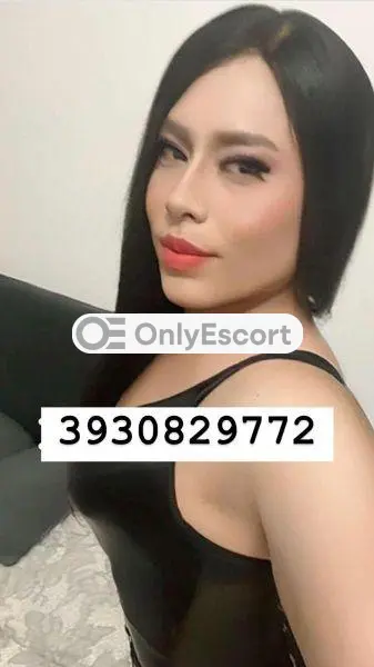 3930829772 immagine 2