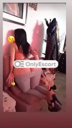 3295567921 immagine 4