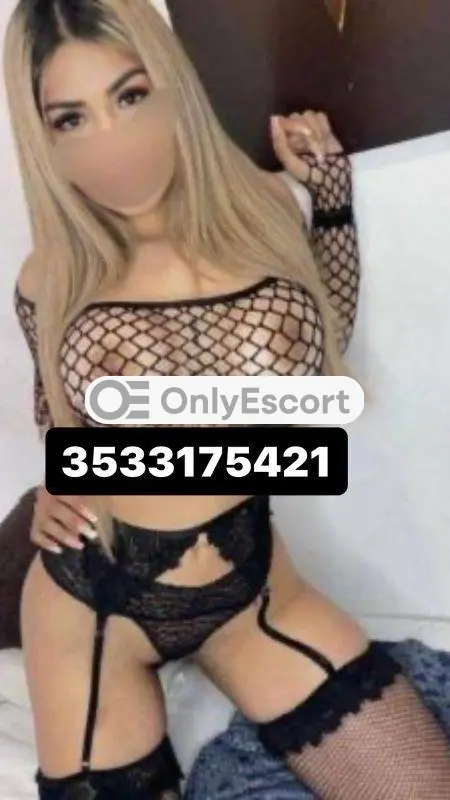 3533175421 immagine 1