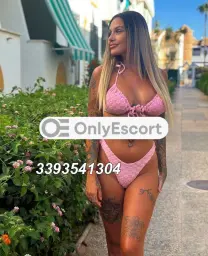 3393541304
