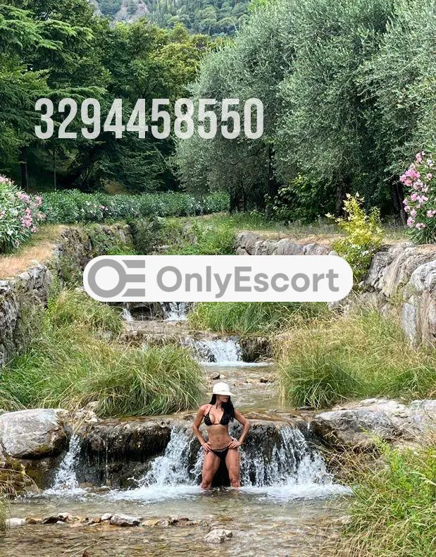 3294458550 immagine 10
