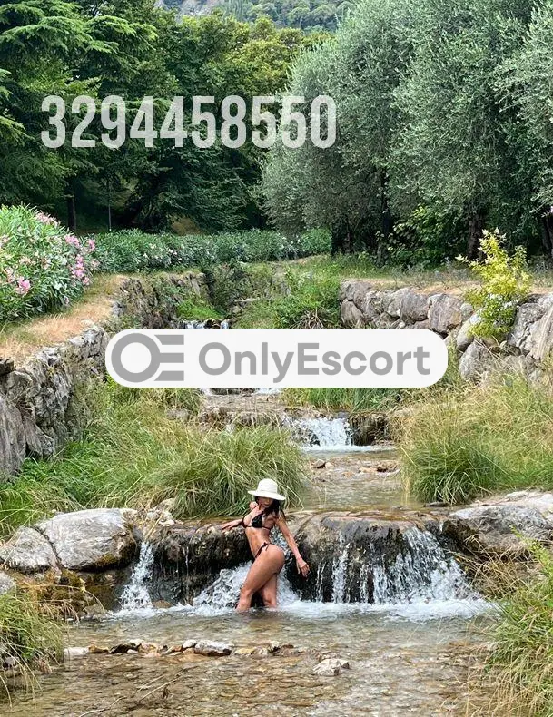 3294458550 immagine 11