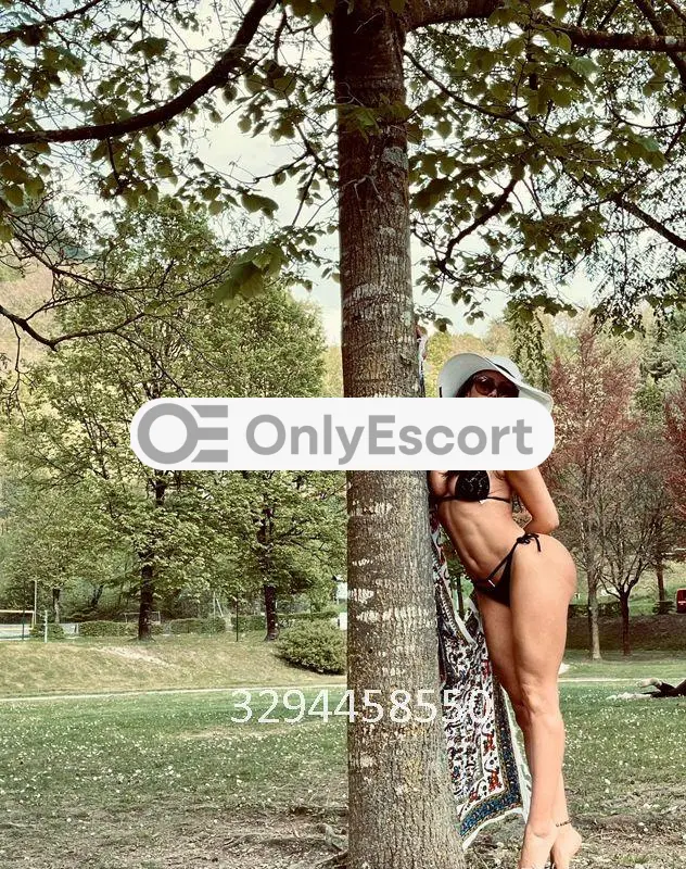 3294458550 immagine 20