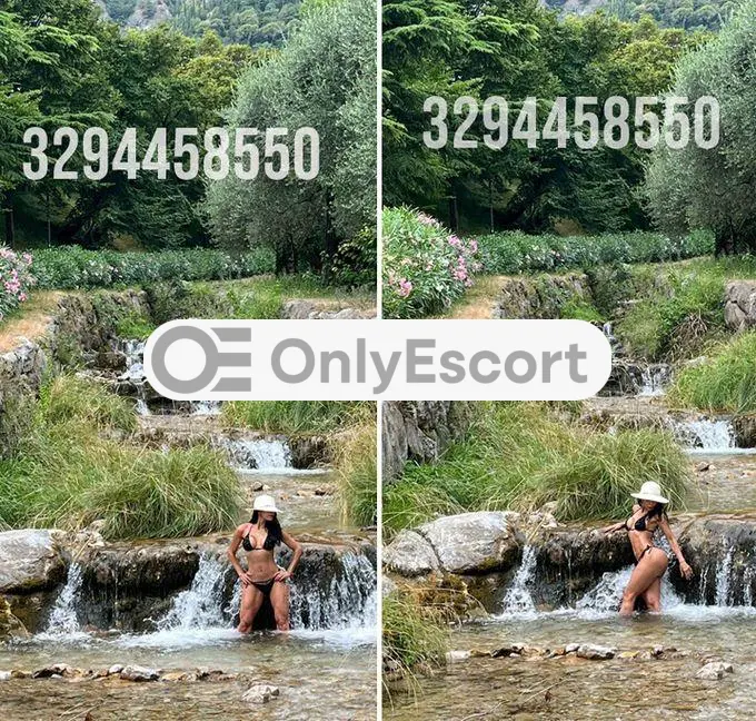 3294458550 immagine 24