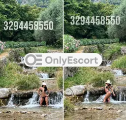 3294458550 immagine 24