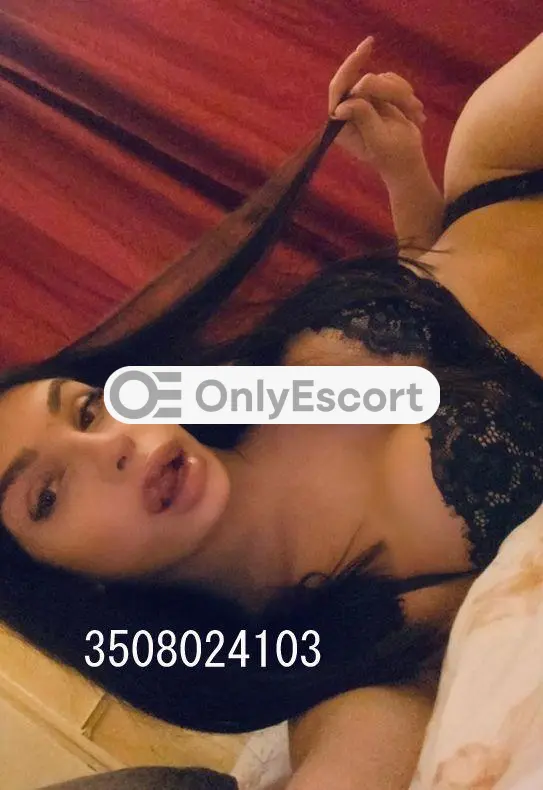 3508024103 immagine 1