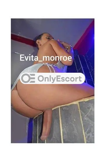 3512835670 immagine 6