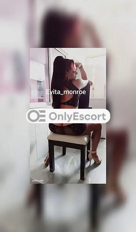 3512835670 immagine 1