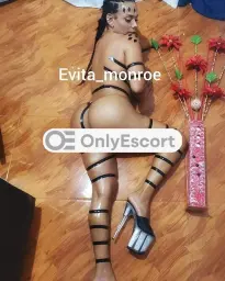 3512835670 immagine 3