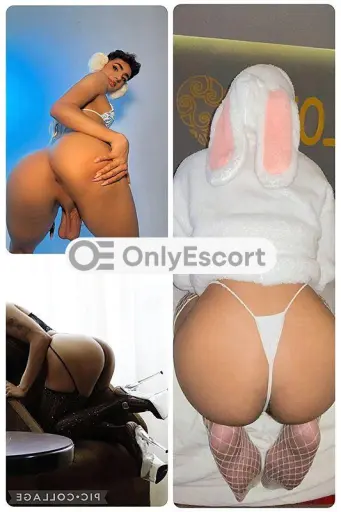 Annuncio 3508186593 Trans