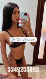 3349253893 immagine 1