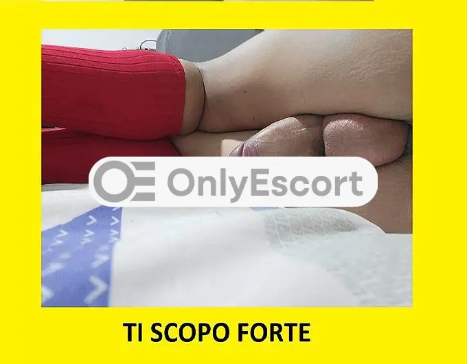3343826333 immagine 1