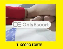 3343826333 immagine 11