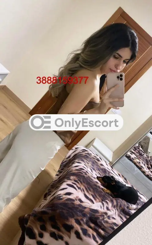 3888159377 immagine 6