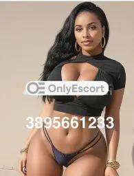 3895661233 immagine 0