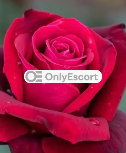 Annuncio 3928637240 Escort