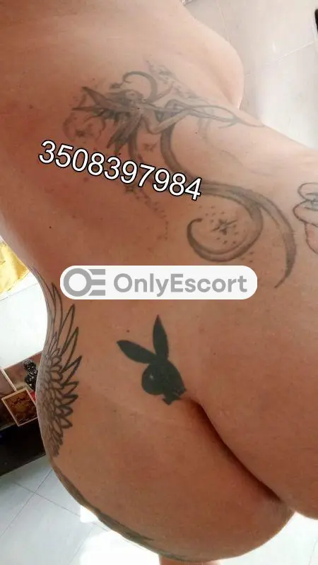 3508397984 immagine 3