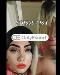 3508397984 immagine 2