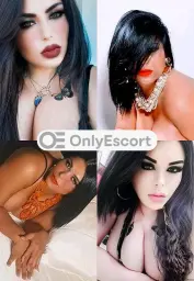 3801462000 immagine 14