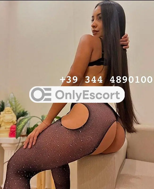 3444890100 immagine 3