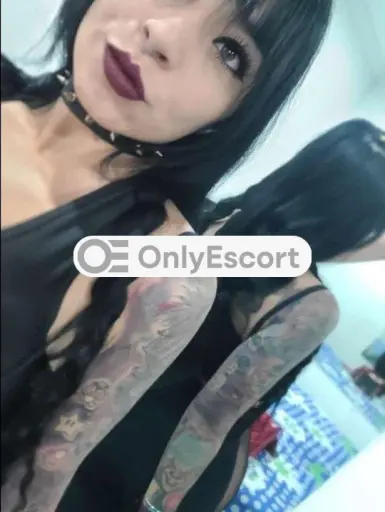 Annuncio 3509193419 Trans