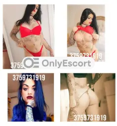 3759731919