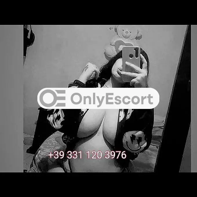 3311203976 immagine 3