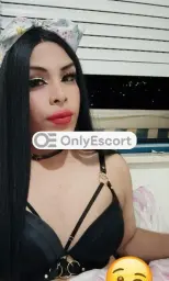 3508470008 immagine 4