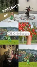 3895805280 immagine 7