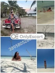 3895805280 immagine 8
