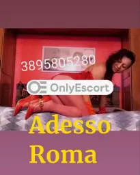 3895805280
