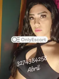 3274384258