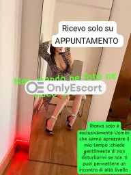 3519613058