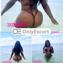 3333948537 immagine 6