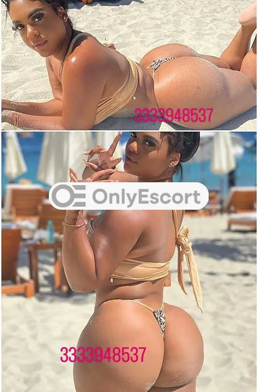 3333948537 immagine 7