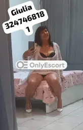 3247468181 immagine 3