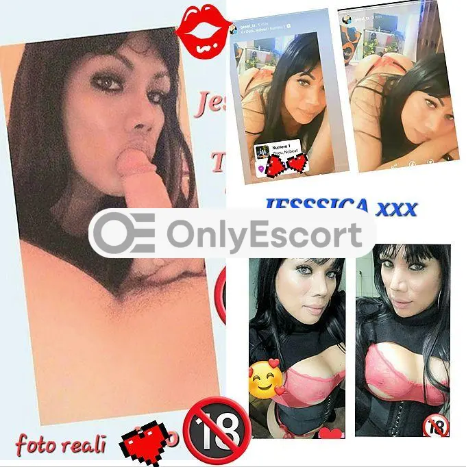 3513846586 immagine 0