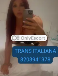 3203941378