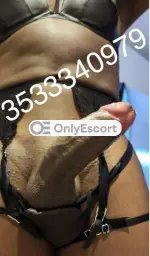 3533340979 immagine 1
